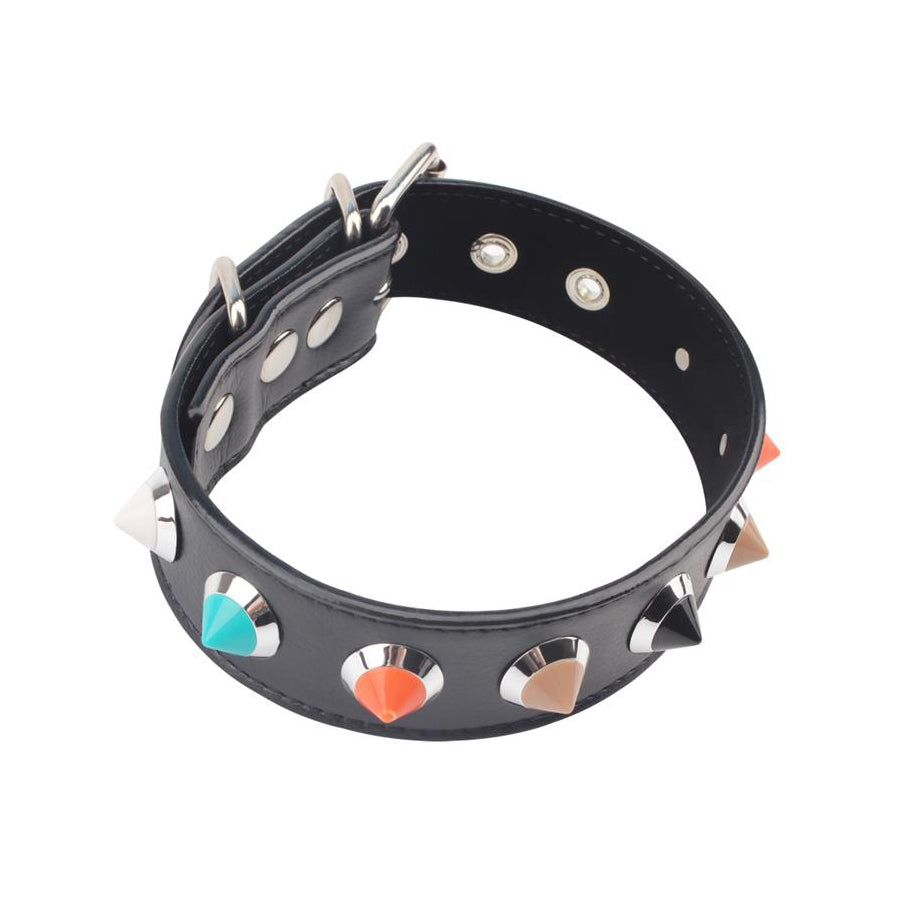 CHISA NOVELTIES- Kit Dog Training Laisse Collier et Bâillon Os - MONT' A BORD SHOP