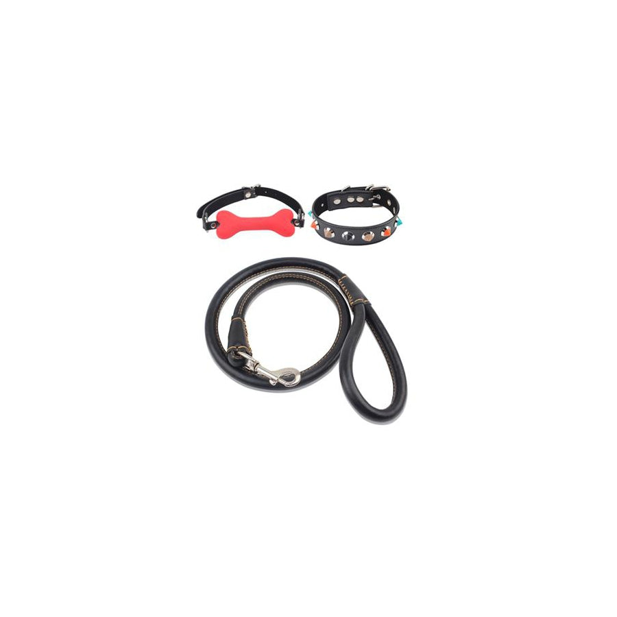 CHISA NOVELTIES- Kit Dog Training Laisse Collier et Bâillon Os - MONT' A BORD SHOP