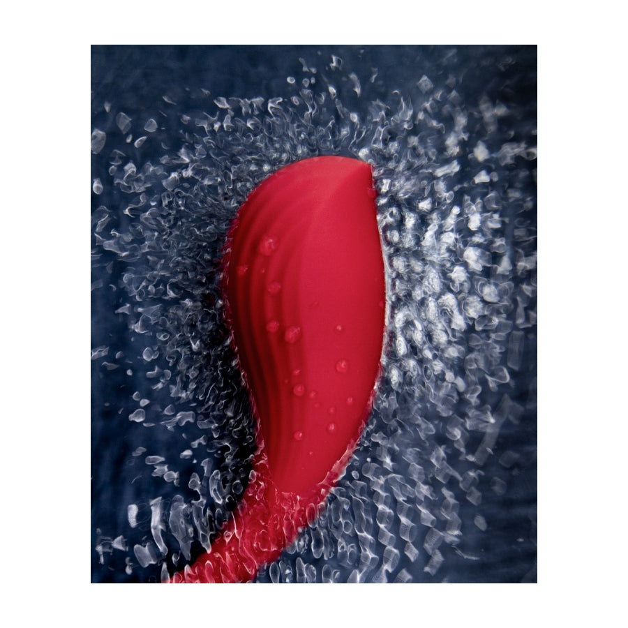 SVAKOM- Stimulateur Oeuf Vibrant Connecté Phoenix Neo - MONT' A BORD SHOP